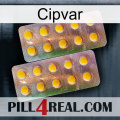 Cipvar new10